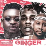 Airboy – Ginger ft. Burna Boy, Cassper Nyovest