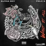 Burna Boy – Want It All Ft. Polo G