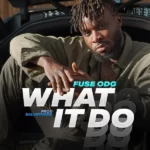Fuse-ODG-–-What-It-Do
