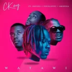 CKay – Watawi ft Davido, Focalistic & Abidoza