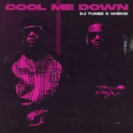 DJ Tunez & Wizkid – Cool Me Down