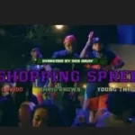 Davido ft. Chris Brown, Young Thug – Shopping Spree (Lyrics)