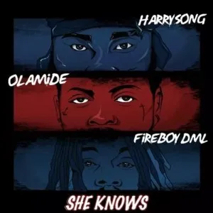 HarrySong – She Knows Ft. Olamide & Fireboy DML