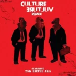 25k – Culture Vulture (Remix) Ft. AKA, Emtee