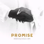 [Music] Adekunle Gold Ft. Simi – Promise