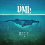 Fireboy DML – Magic