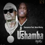 Harmonize – Ushamba (Remix) ft. Naira Marley