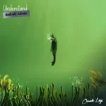 Omah Lay – Understand (AMEME Remix)