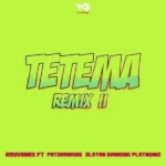 Rayvanny – Tetema (Remix) II Ft. Patoranking, Zlatan & Diamond Platnumz
