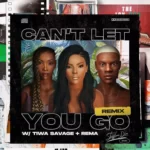 Stefflon Don – Can’t Let You Go (Remix) Ft. Rema & Tiwa Savage
