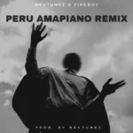 Fireboy DML x Nektunez – Peru (Amapiano Remix)