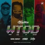 DJ Kaywise – WOTD (What Type Of Dance) ft. Mayorkun, Naira Marley & Zlatan