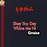 DJ YK Mule – Shey You Dey Whine Ni (Cruise)
