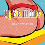 DJ YK Mule – Have You Pupu