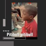 Arewa Trending Music – Pitibull Pitibull