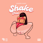 Country Wizzy – Shake That Ass