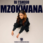 DJ Tshegu – Mzokwana Ft. Sims Noreng